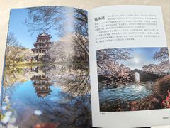 -厦门市图书馆(集美新城馆区)