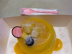 -狐狸和向日葵(北京路店)
