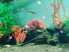 -秦皇岛新澳海底世界