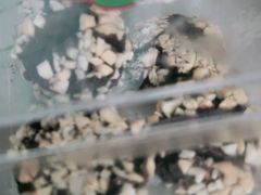 -妙思西饼(新华新玛特店)