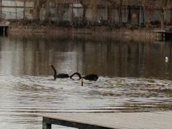 IMG_1340-金庭庄园酒店彩虹厅