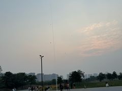 -汉长安城未央宫国家考古遗址公园