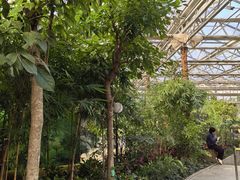 -南宫五洲植物乐园