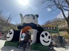 -栾川竹海野生动物园