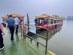 -溱湖国家湿地公园