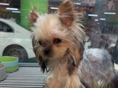 -FAELING PETS美天灵宠物(合生汇店)