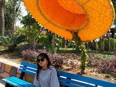 -厦门方特梦幻王国