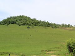 -关山草原
