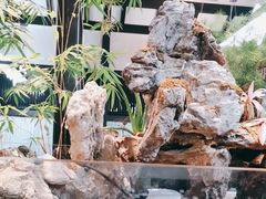 -舟小鲜·舟山小渔村(凤城四路中登广场店)