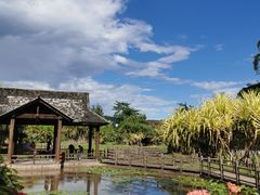 -中国科学院西双版纳热带植物园