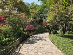 -上海醉白池公园