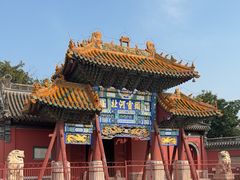 -药王庙(安国市)