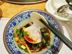新鲜白贝-丰尔粥食·粥底火锅(大良总店)