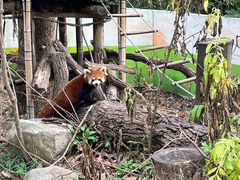 -杭州少年儿童公园