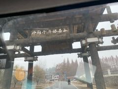 -千年银杏谷文化旅游区