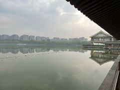 -小白鲨工夫潮膳(曲江店)