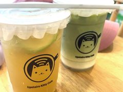 -楼上猫咖(罗湖店)