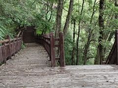 -陕西省红河谷森林公园