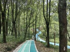 -重庆彩云湖湿地公园