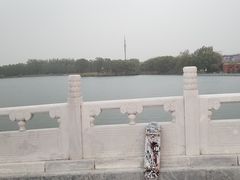 -朝阳公园游乐园