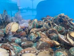 -港畔赶海蒸汽海鲜烧烤自助(仙螺岛店)
