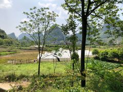 -翠屏五指山景区