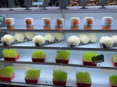 -番食园鲜食火锅(高新店)
