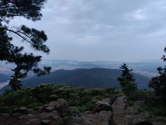 -惠山国家森林公园