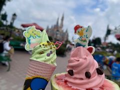 -上海迪士尼度假区