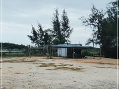 -红树林天天赶海