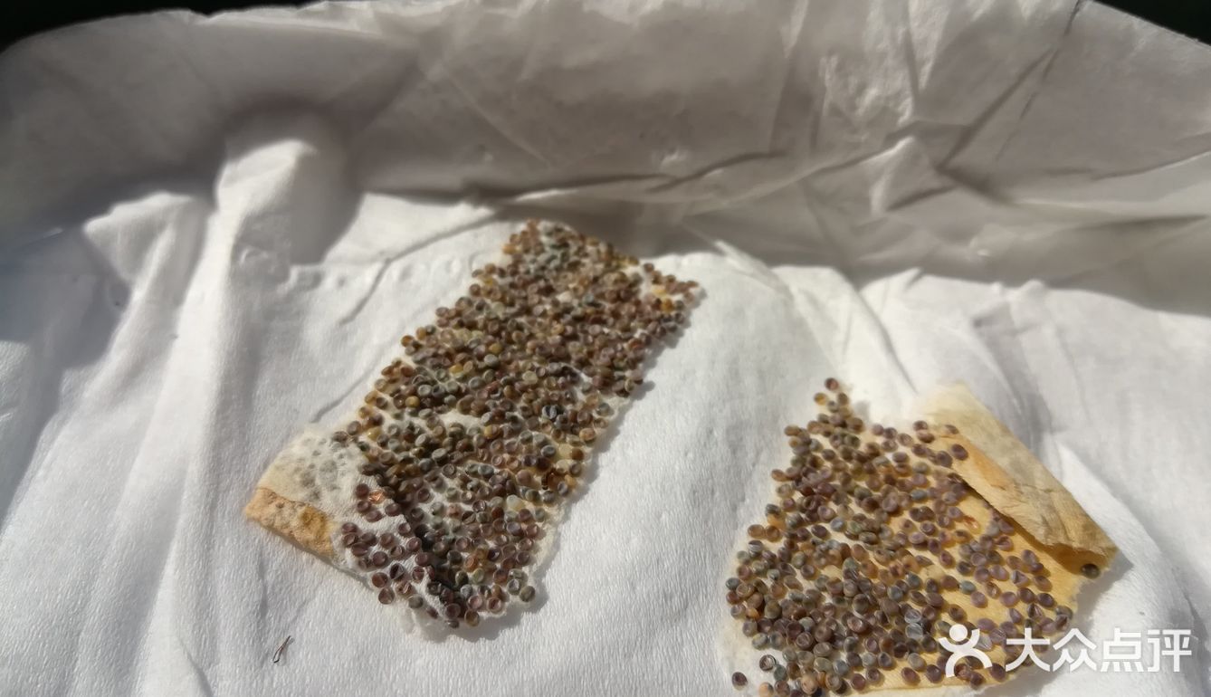 这次为了满足小朋友的好奇心