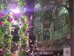 -正佳雨林生态植物园