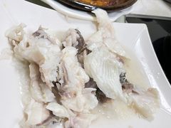 -源港渔村-中山脆肉鲩(博罗店)