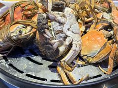 -半岛听涛蒸汽海鲜自助(K11店)
