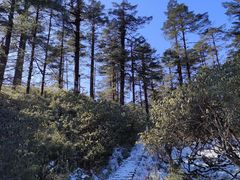 -瓦屋山景区