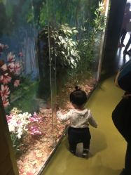 点击看大图 -北京科学中心儿童乐园