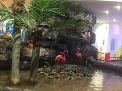 -反斗乐园π·电玩·高空拓展·蹦床(龙华天虹店)