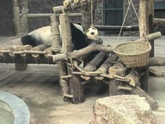 -黔灵山公园-南门售票处