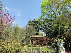 -爱乐蒙艺术·古筝 钢琴 声乐(科华校区)