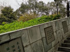 -成都市活水公园