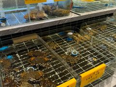 -品悦酒店(三林古镇店)