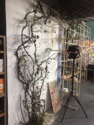 -HG美发设计沙龙