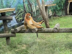 -西安秦岭野生动物园