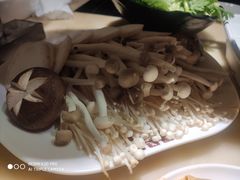 -东道煮牛肉火锅(东盛大街店)