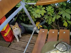 -Paulaner·德国帕拉娜自酿啤酒餐厅(海上世界店)