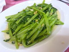 普宁豆酱炒通菜-正宗波记潮州砂锅粥(新洲一街店)