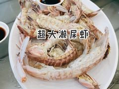 -七鲜渔港美食餐厅(巽寮湾海景店)