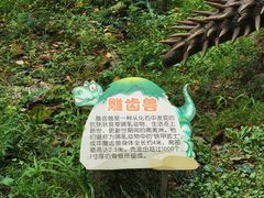 -无锡动物园·太湖欢乐园