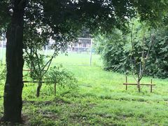 -吉林大学(南岭校区)