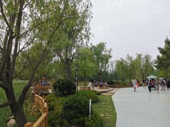 -日照海滨国家森林公园